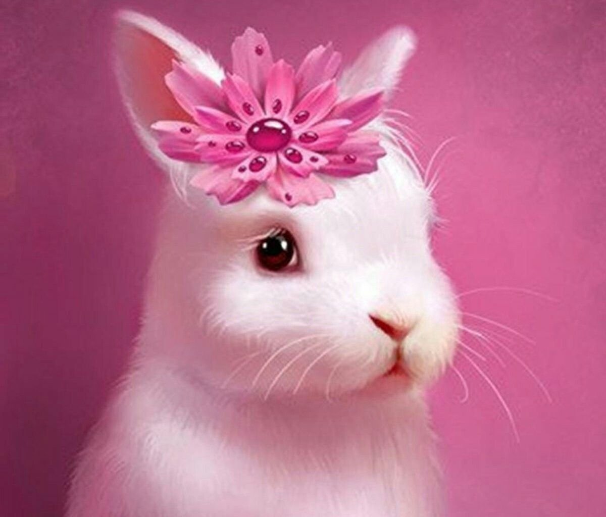 Маленький зайчик