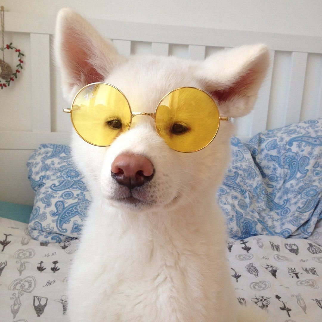 Смешная Эстетика