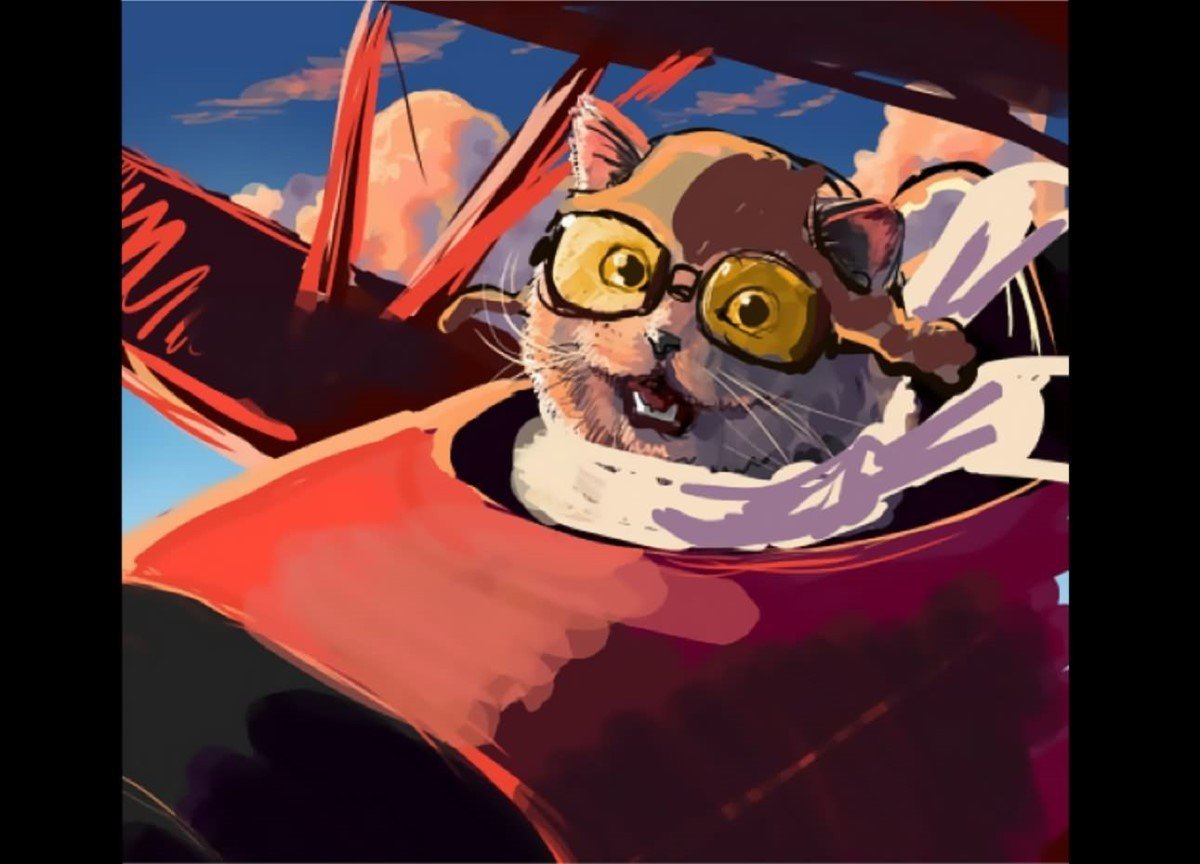 Котик на самолете арт