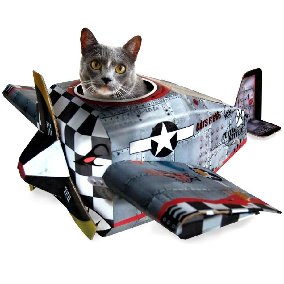 Кот бомбардировщик