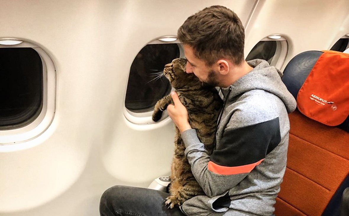 Михаил Галин и кот Виктор