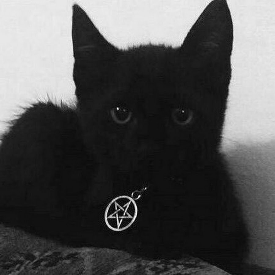 Черный британец