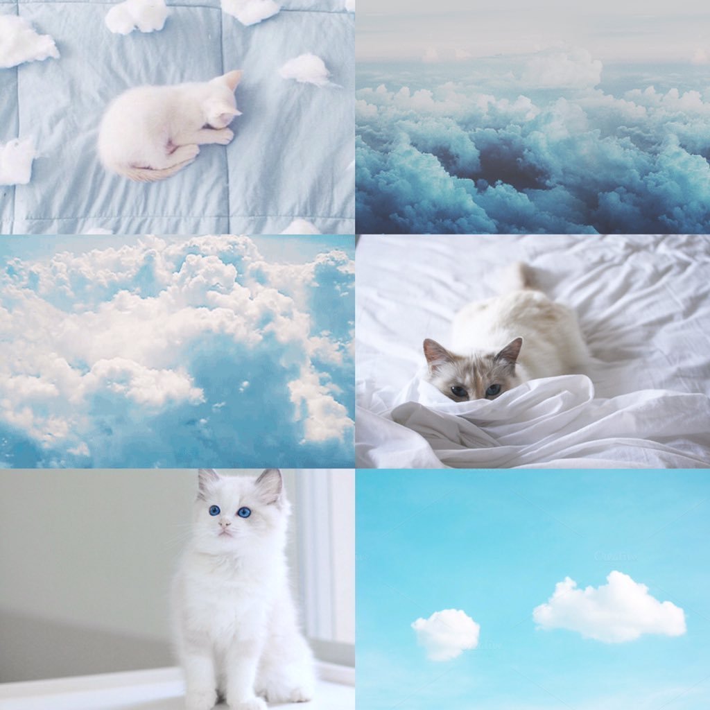 Милый котик на руках