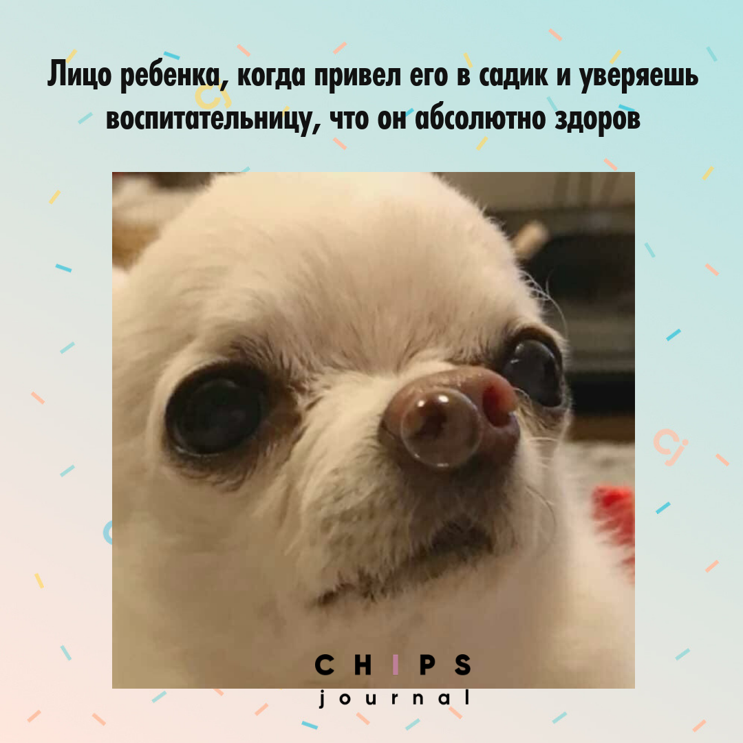 Dogwifhat Joseph