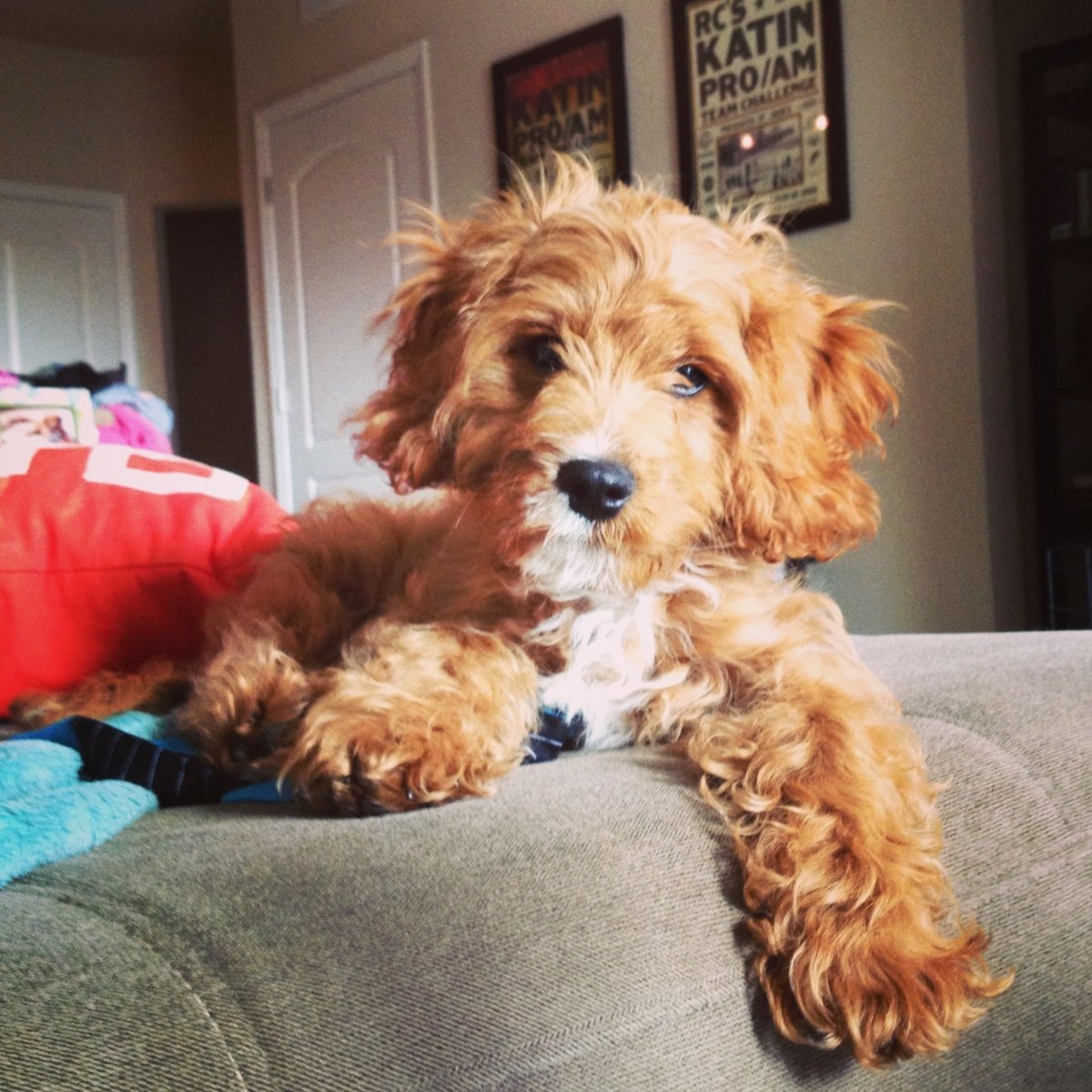 Кавудель Кавапу