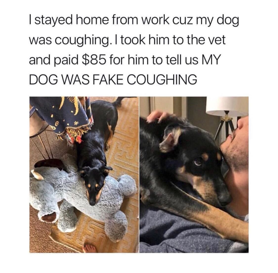 Why some people have sick fur on their Leg