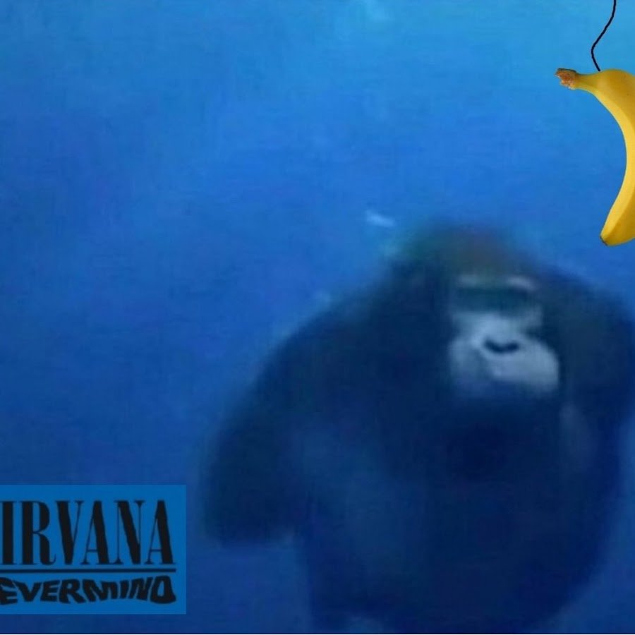 Обезьяна в воде Мем