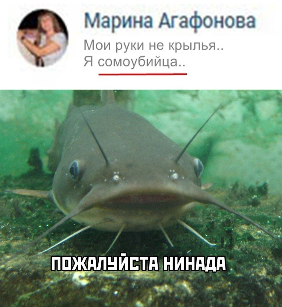 Удильщик мешкорот