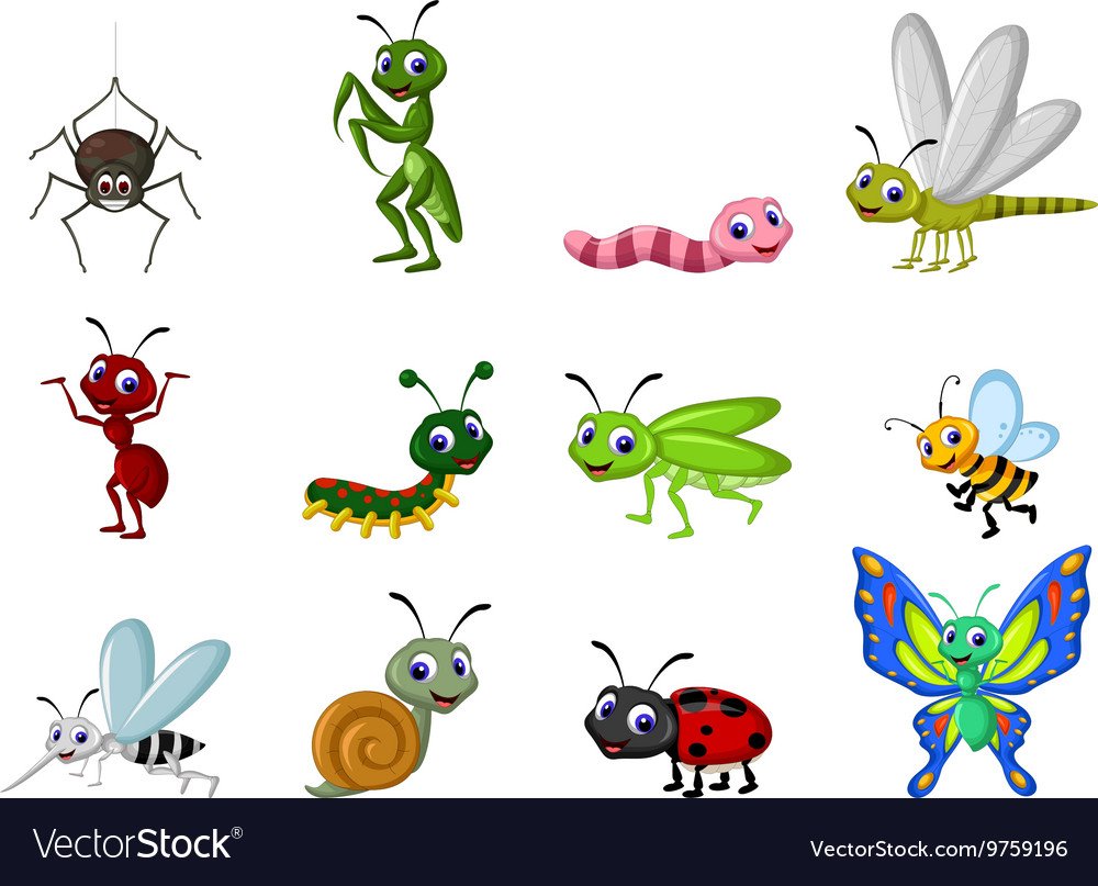 Семидневные подёнки