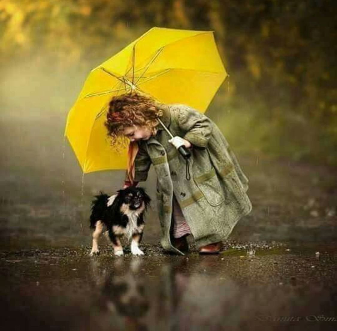 Собачка под зонтом