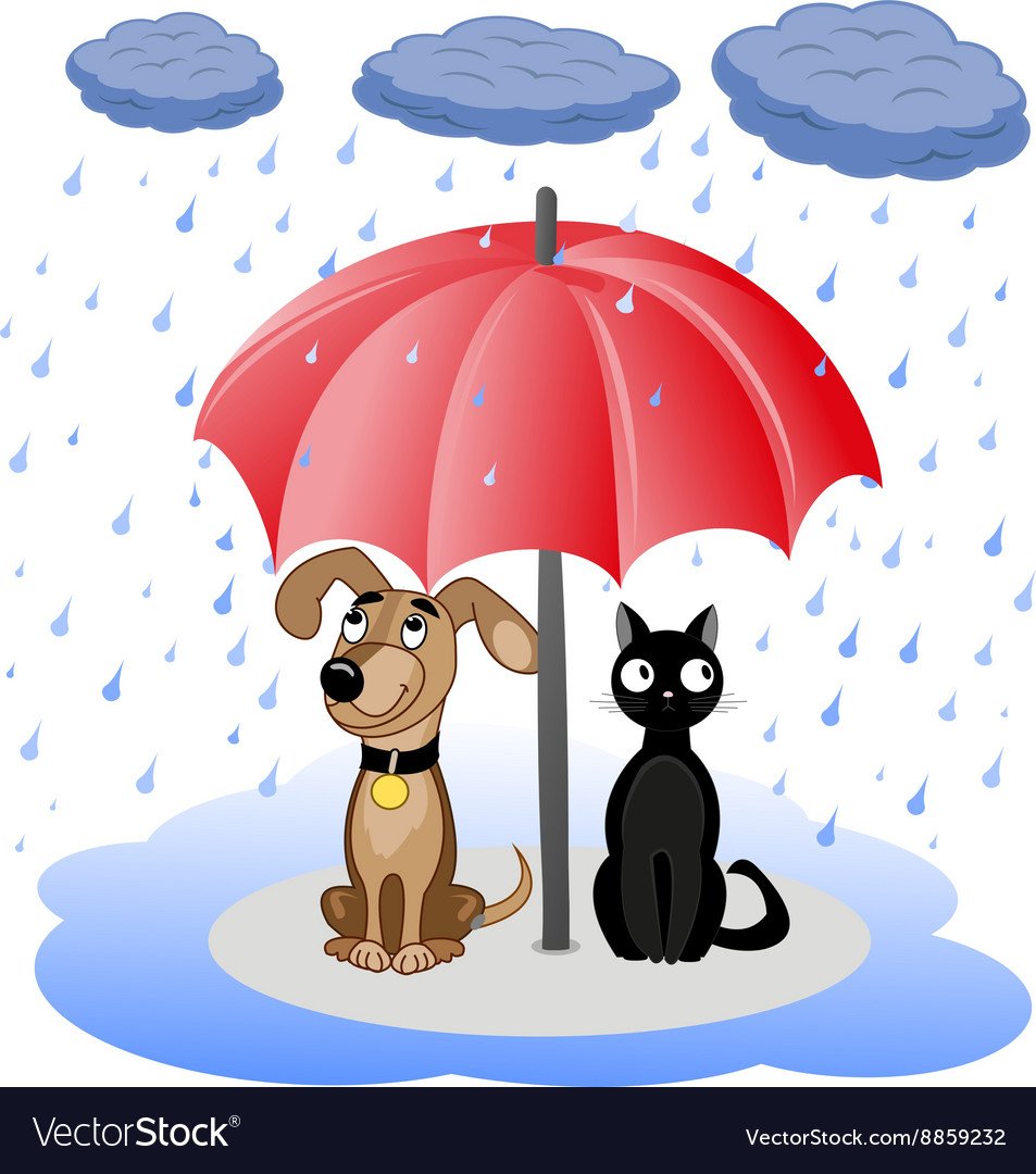 Веселые собаки под дождем