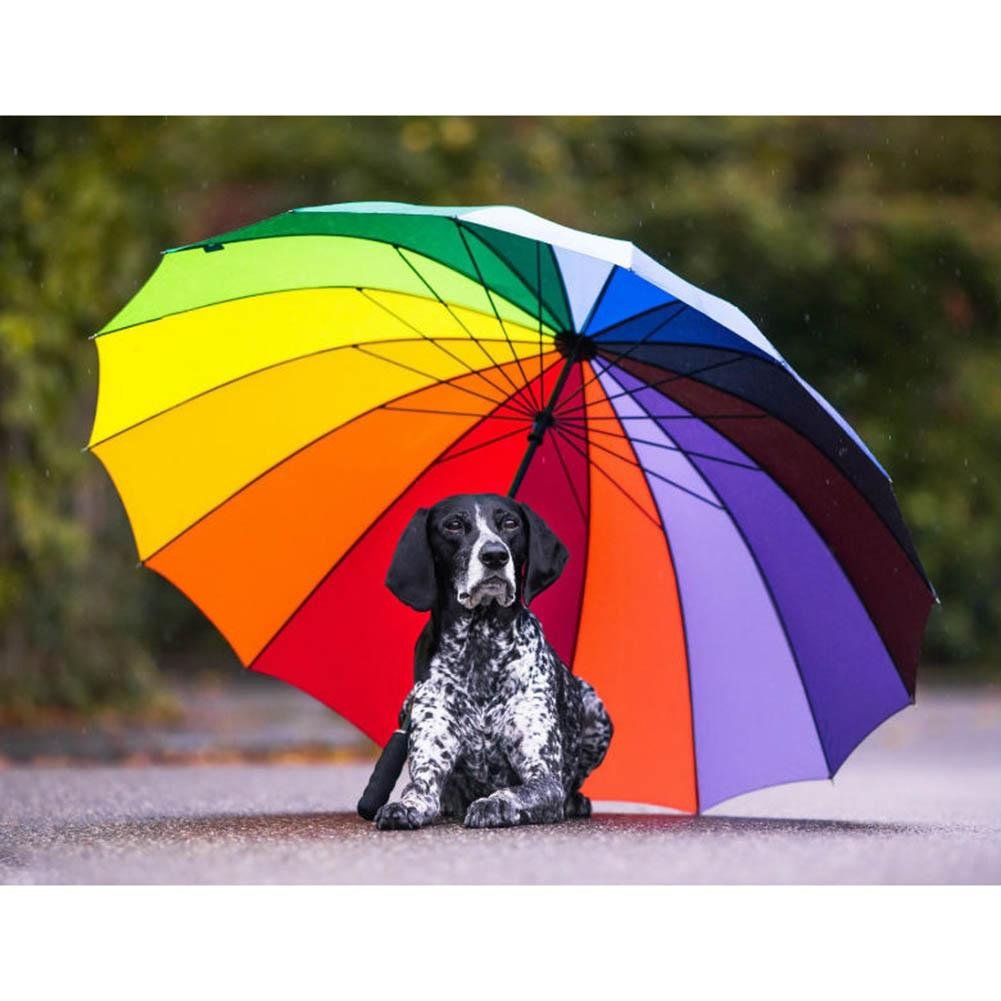 Девочка с зонтом и собакой