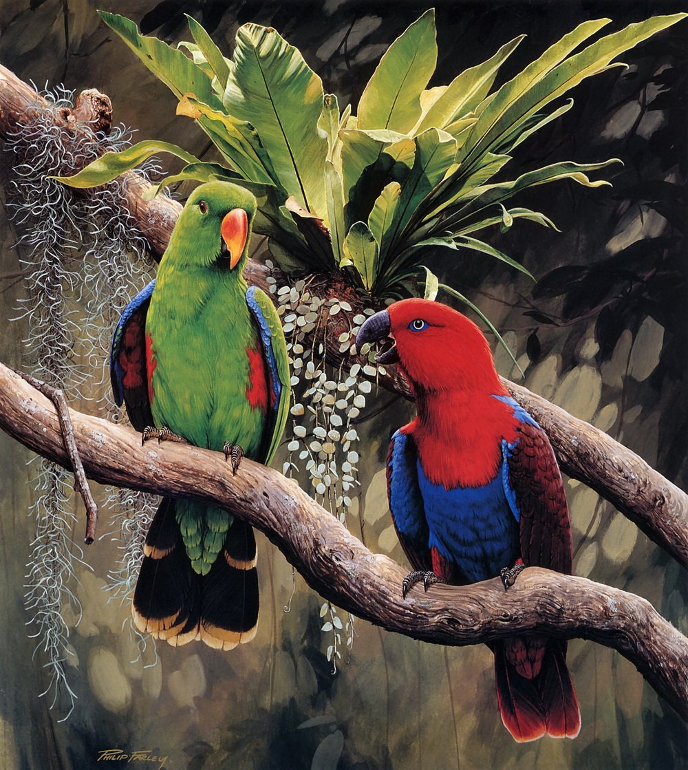 Попугай живопись