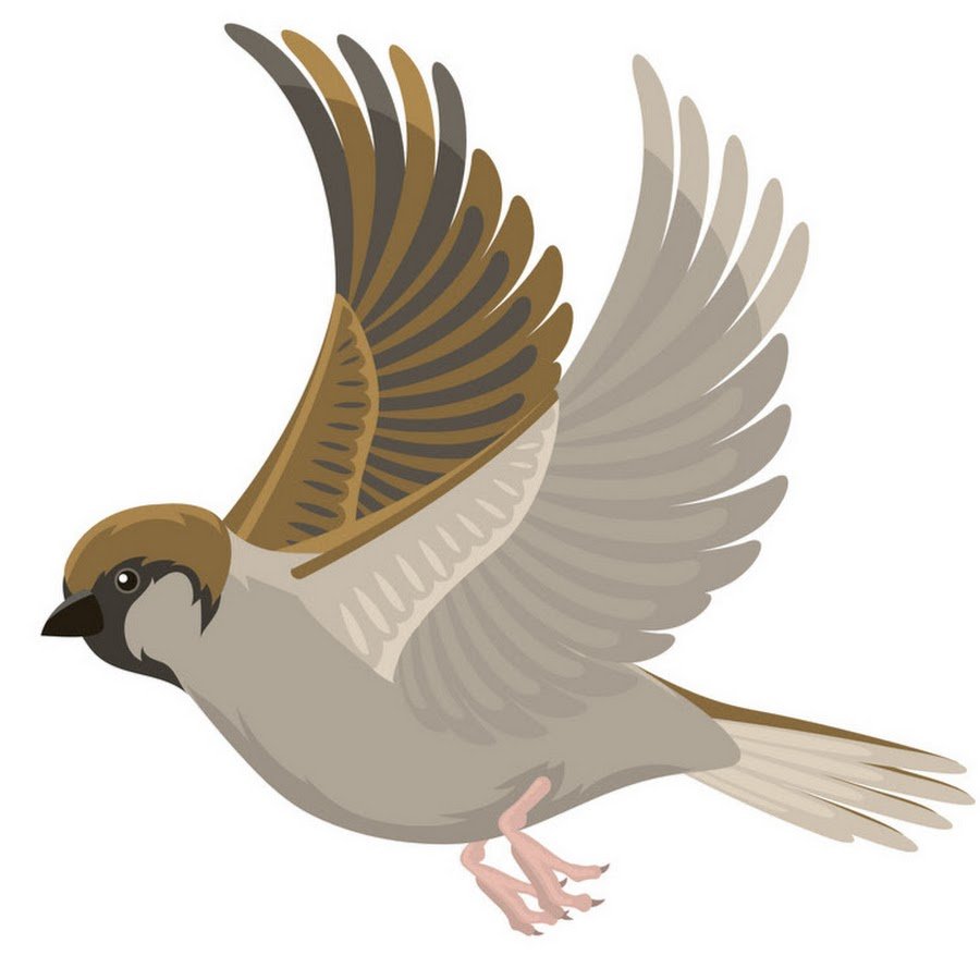 Воробей в полете