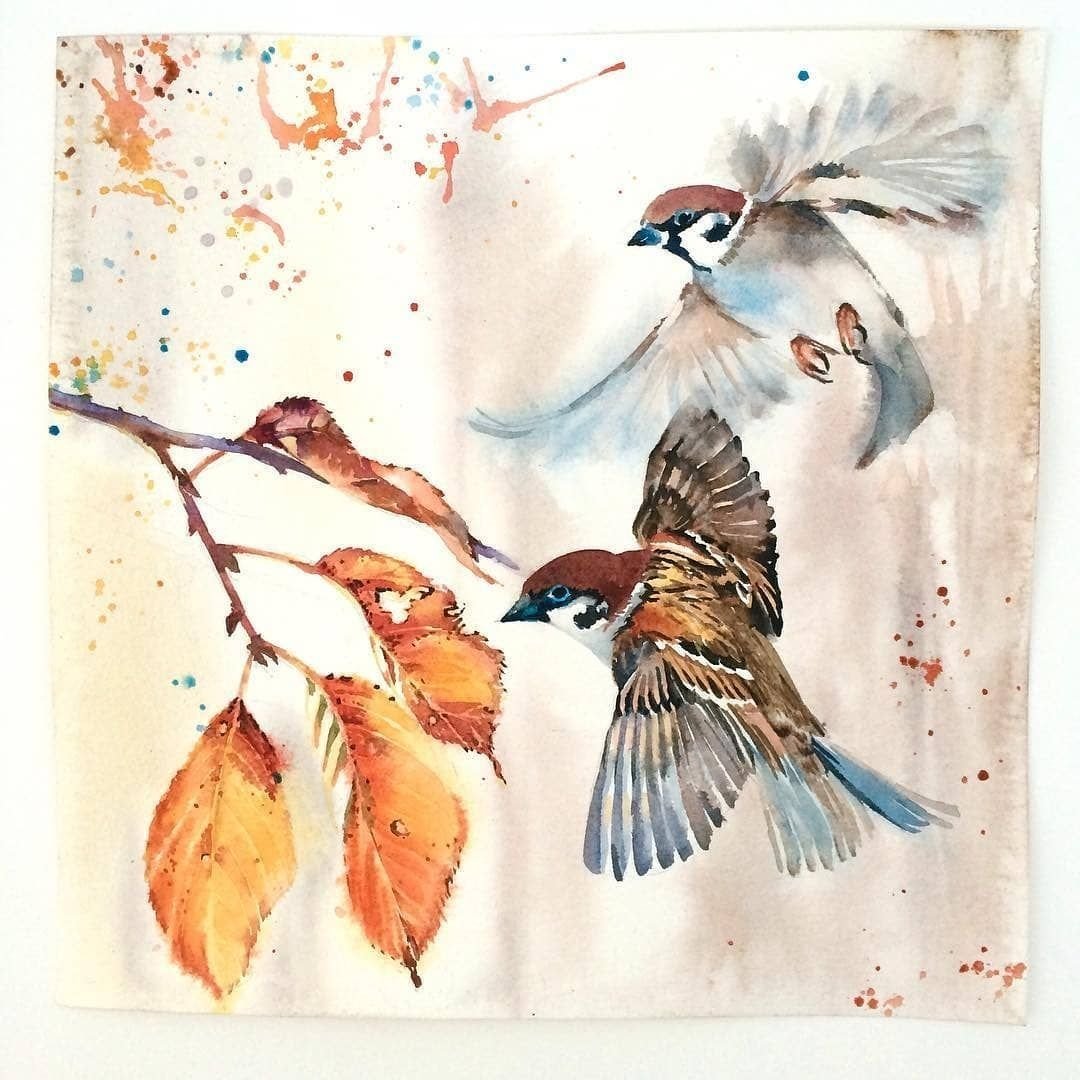 Воробей зимой улетает