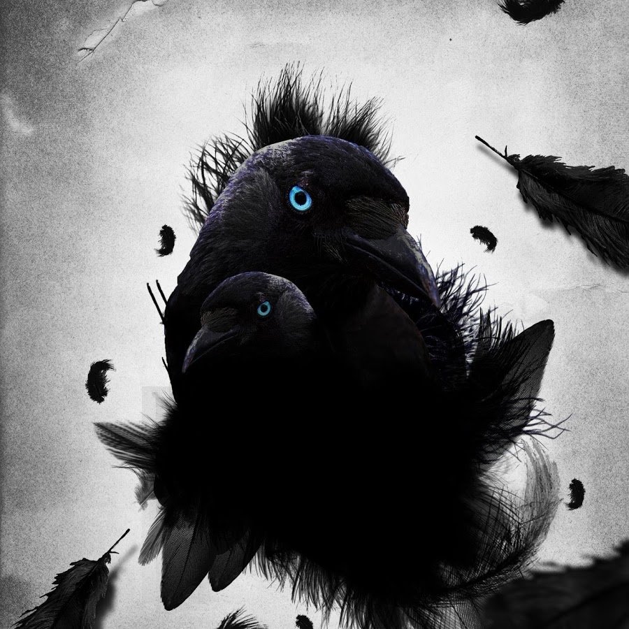 Ворон милый