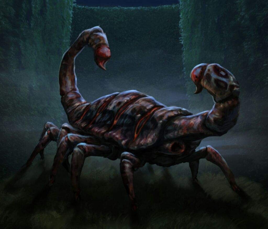 Соплохвосты Гарри Поттер