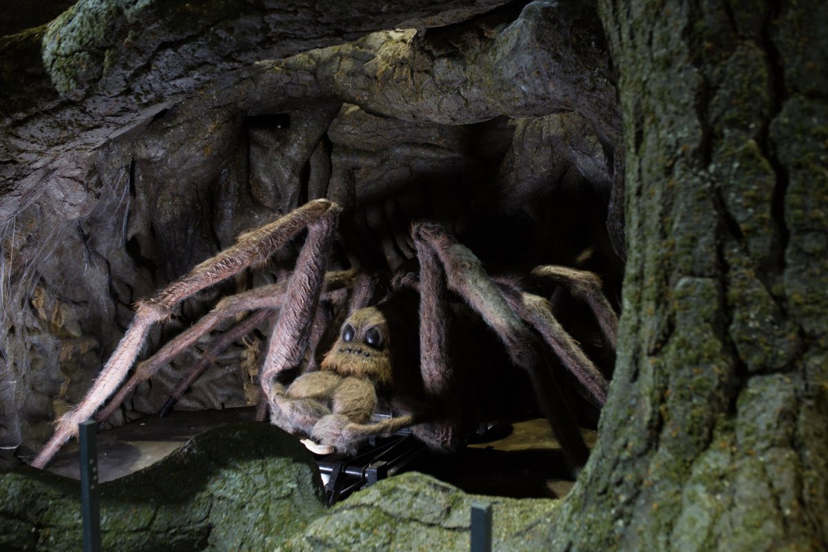 Арагог Гарри Поттер