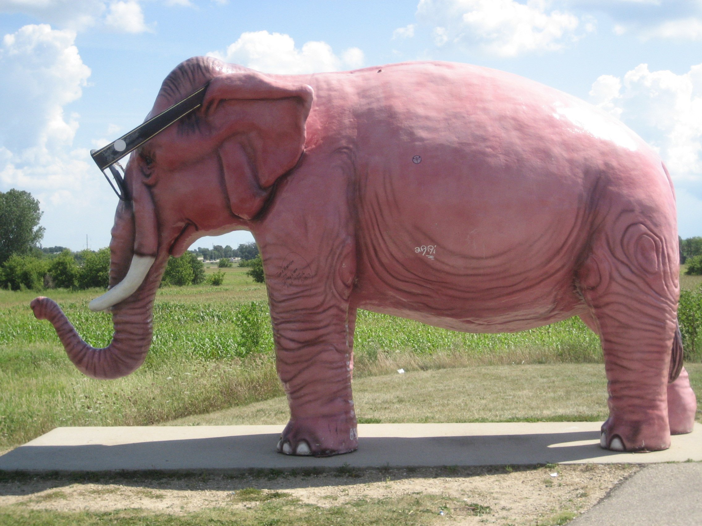 Elephant present. Карликовый слон. Розовый слон. Слон в цвете. Розовые слоны.