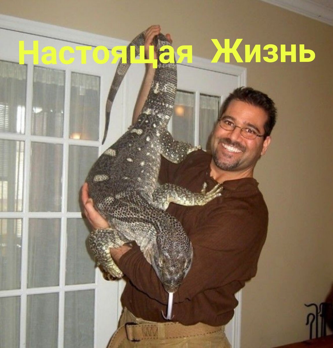 Капский Варан домашний