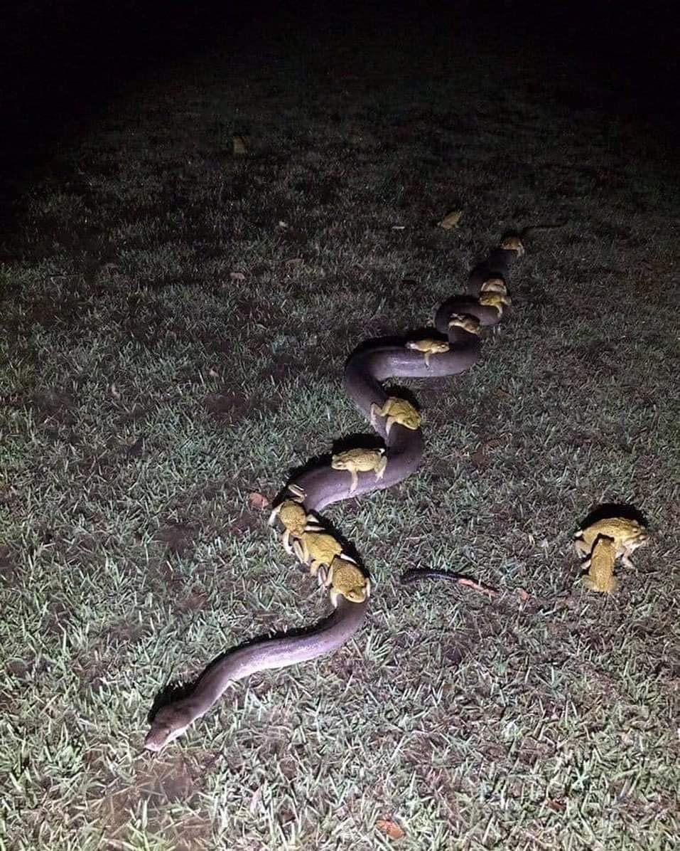 Андаманские и Никобарские острова