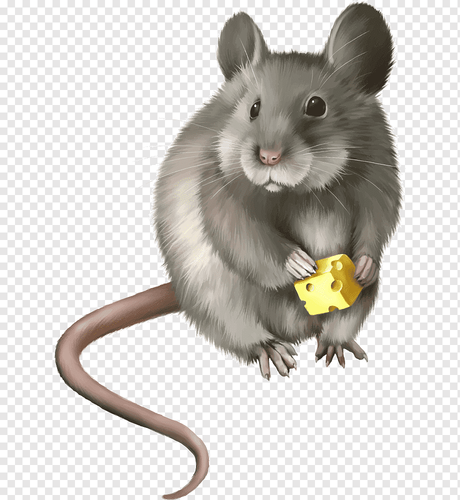 Прозрачная мышь