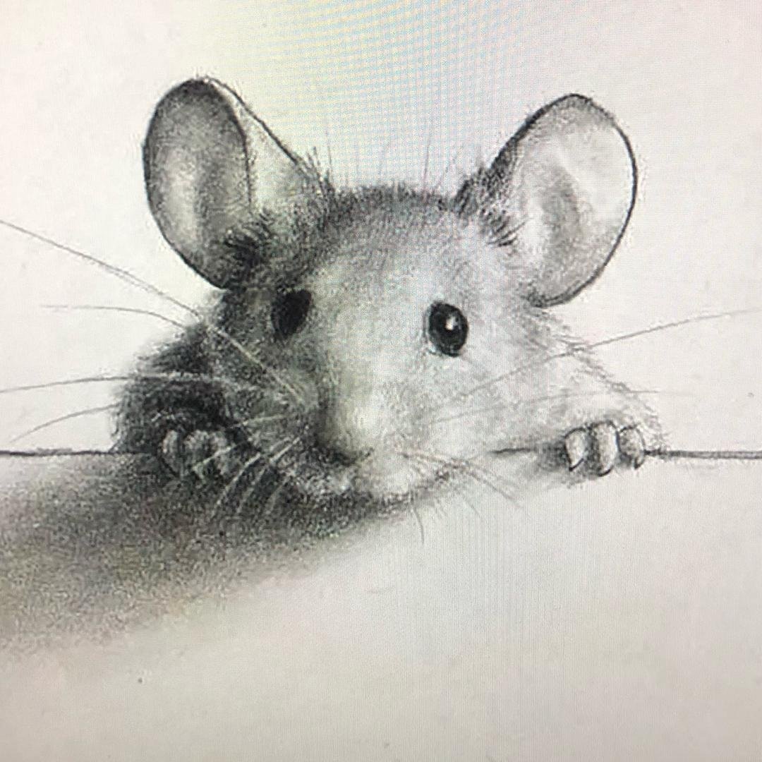 Эскиз мышонка