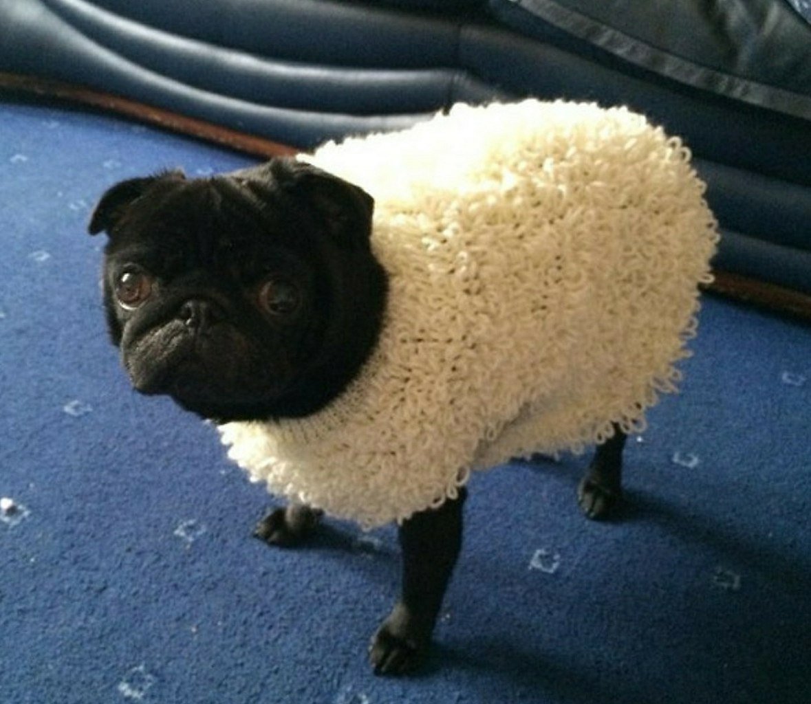 Доброе утро барашек