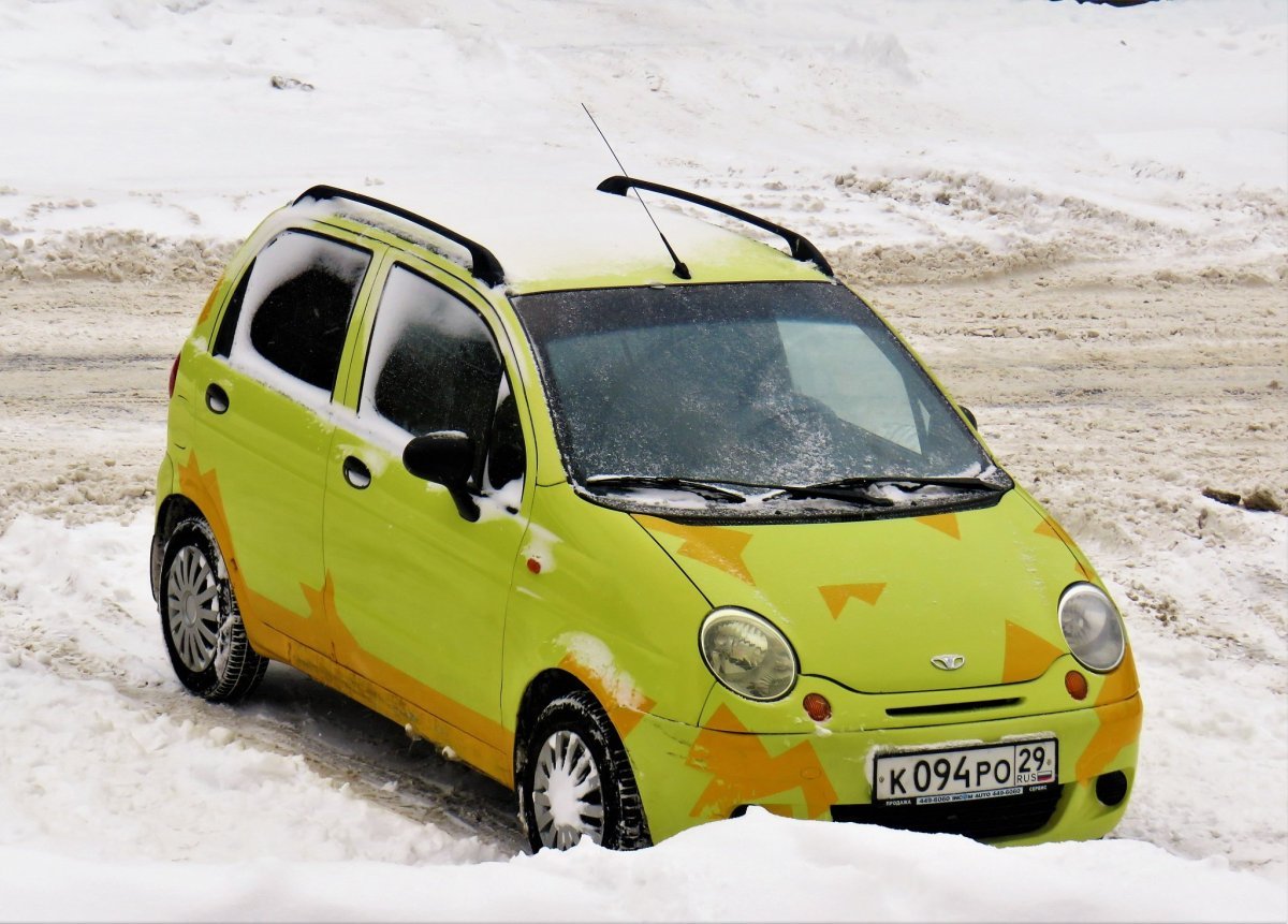 Матиз собака