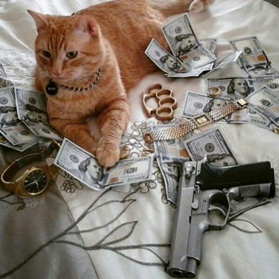 Кот ДАРТВЕЙ Дарт Вейдер