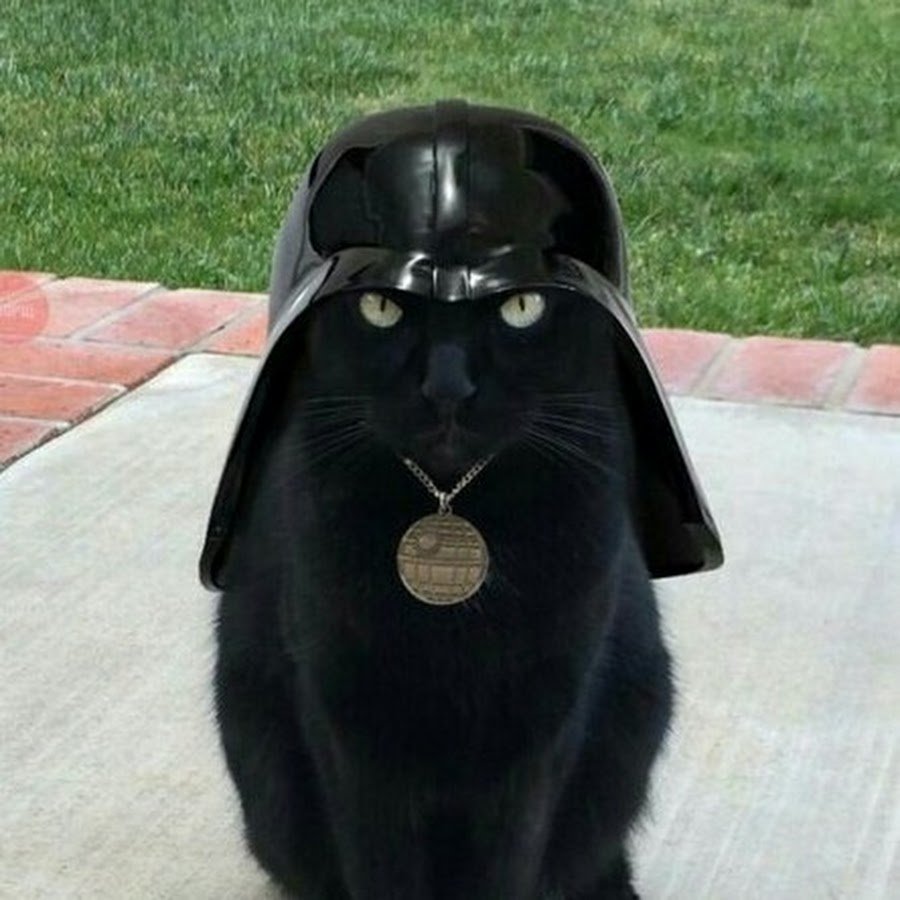 Бонжур я Леша