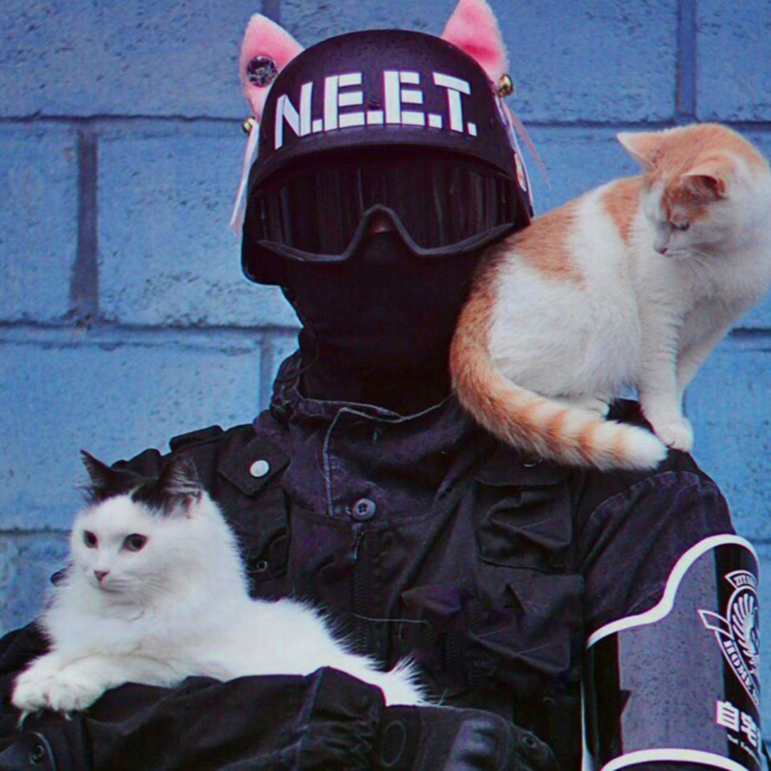 Милые спецназовцы