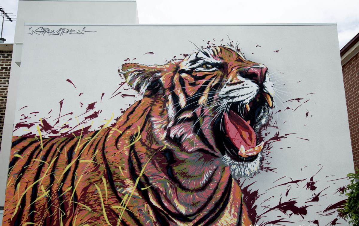 Амурский тигр в роев ручей