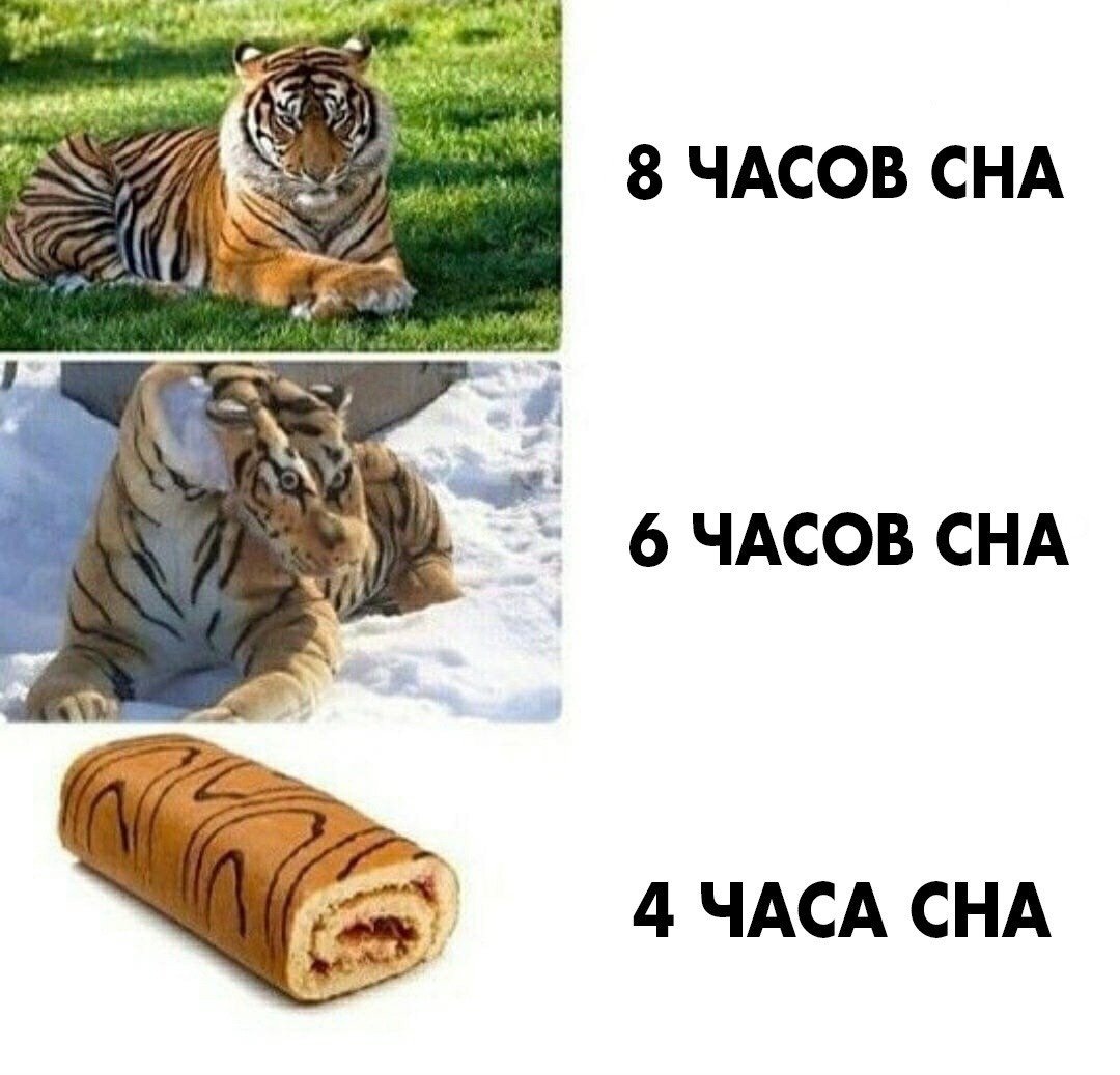 Мем про тигра