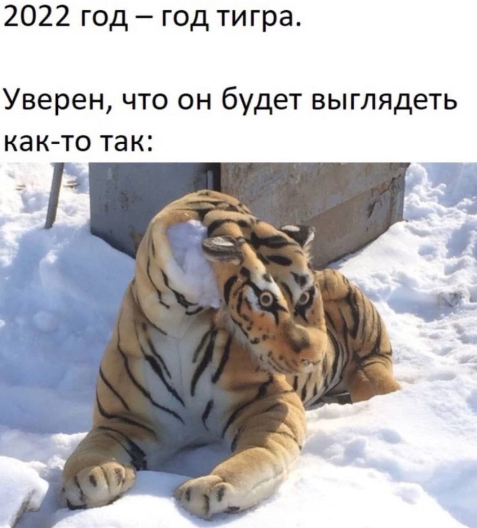 Помятый тигр