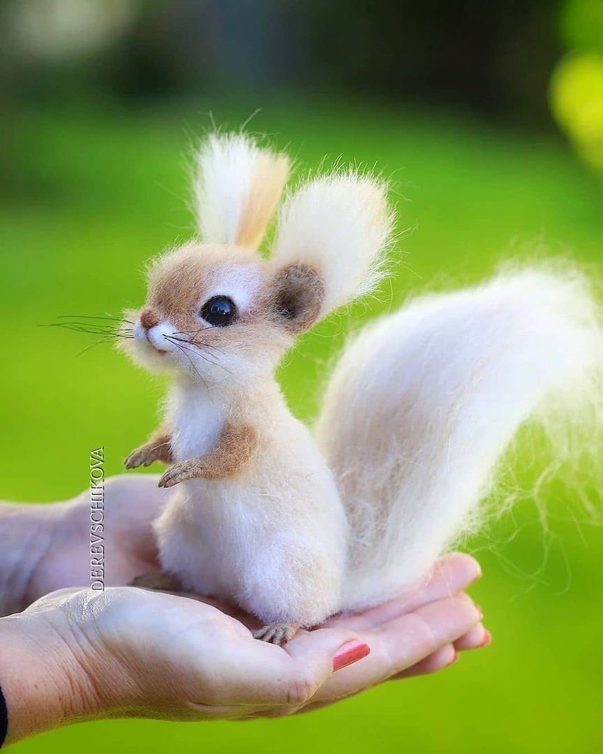 Маленькие бельчата