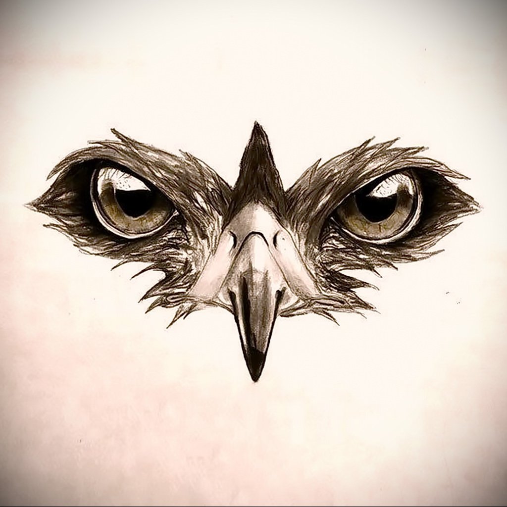 Сокол на черном фоне