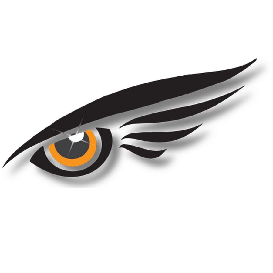 Логотипы глаз с крыльями