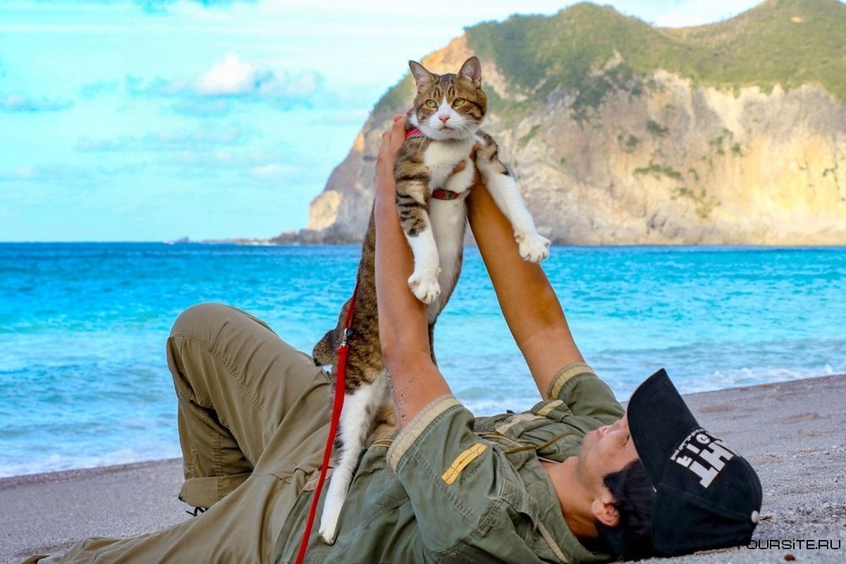 Смешные истории с животными