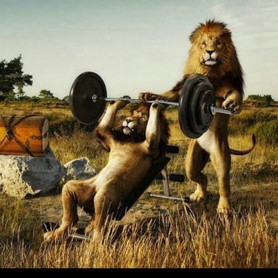 Лев со штангой