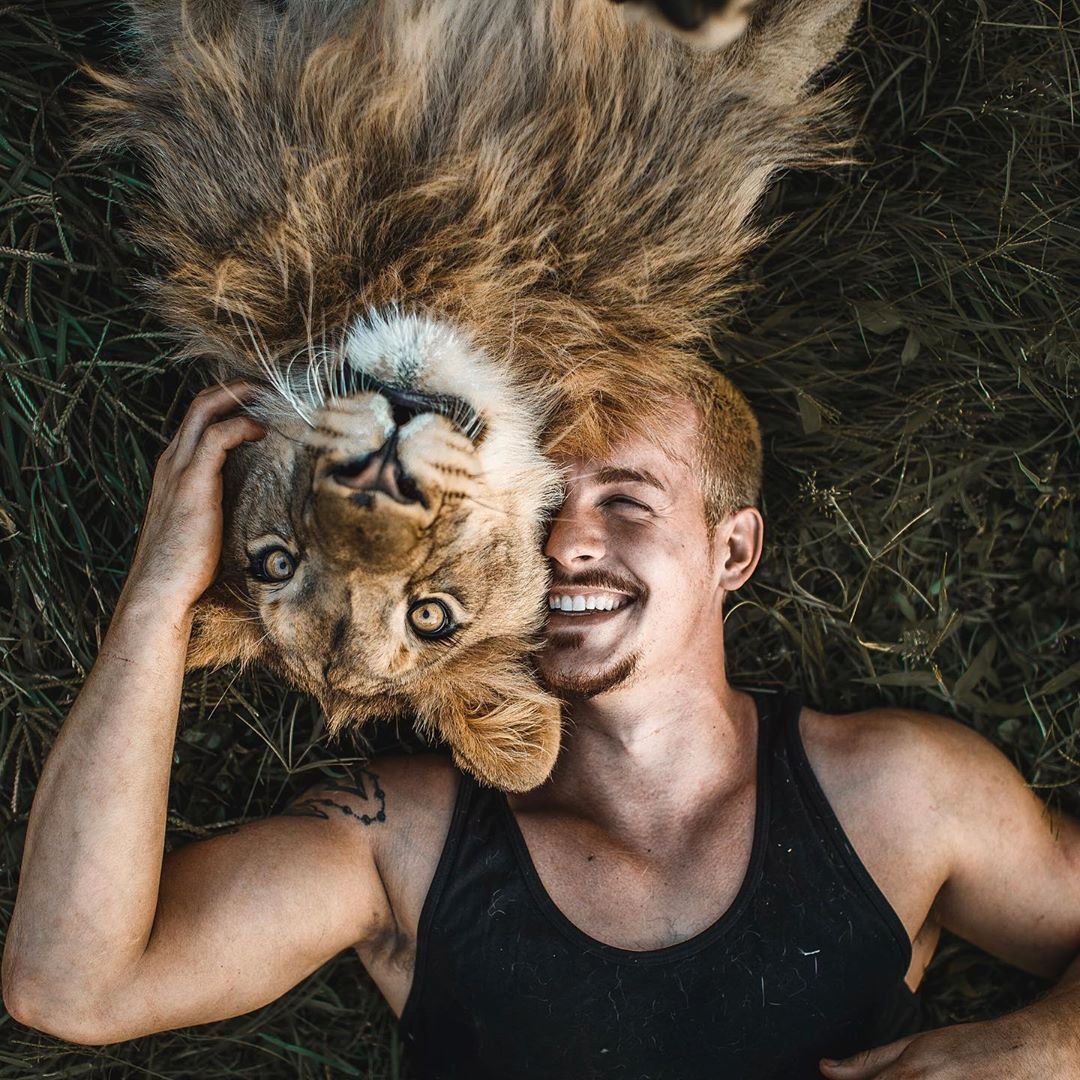 Дин Шнайдер и его львы