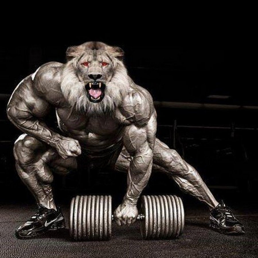 Животные со штангой