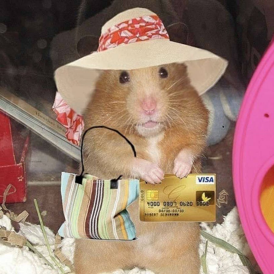 Гладить хомячка