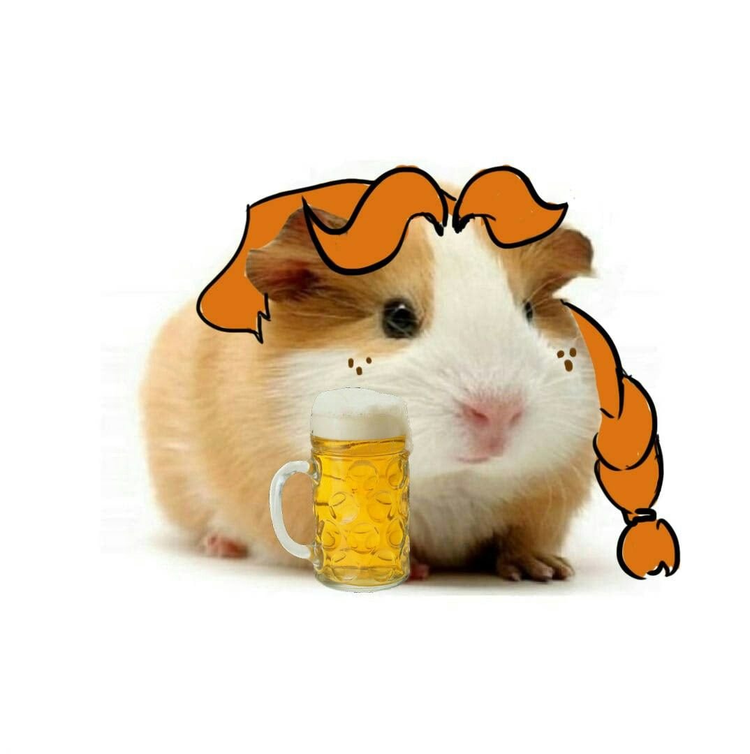 Хомяк Наруто Мем