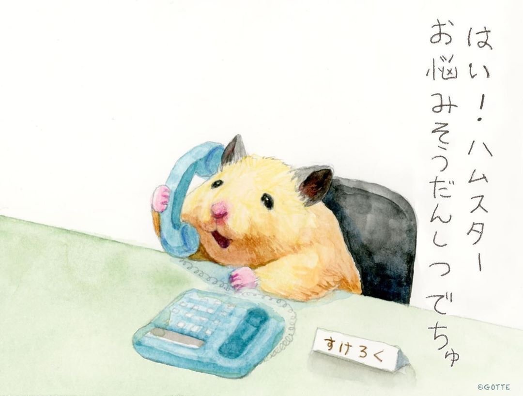 Морская Свинка фотосессия