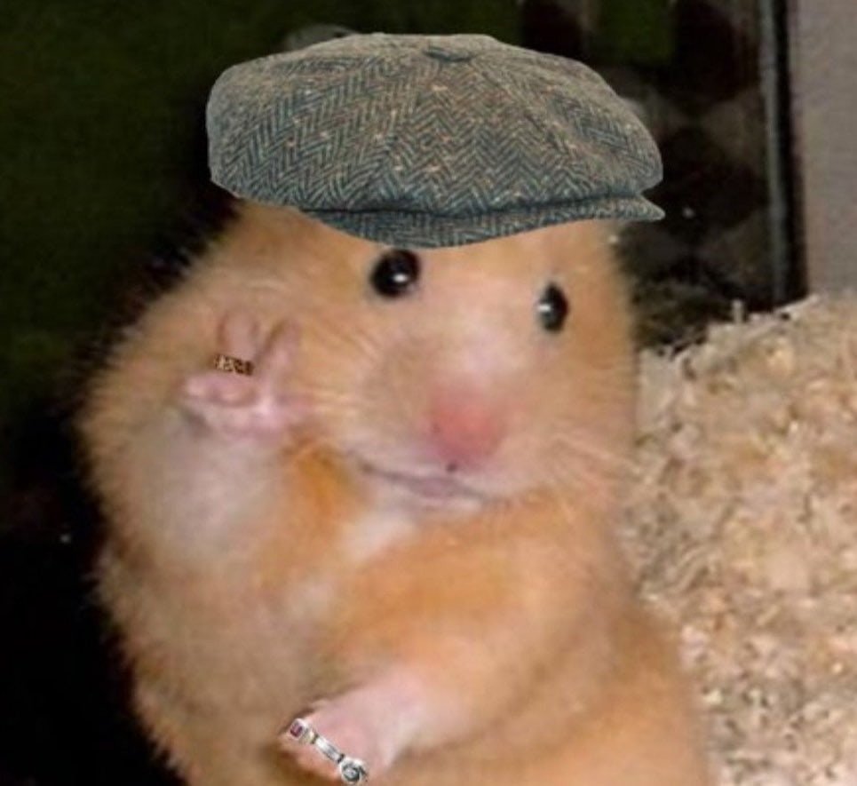 Хомяки милые и красивые