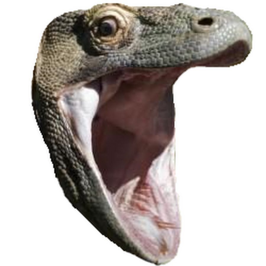 Земноводные Варан