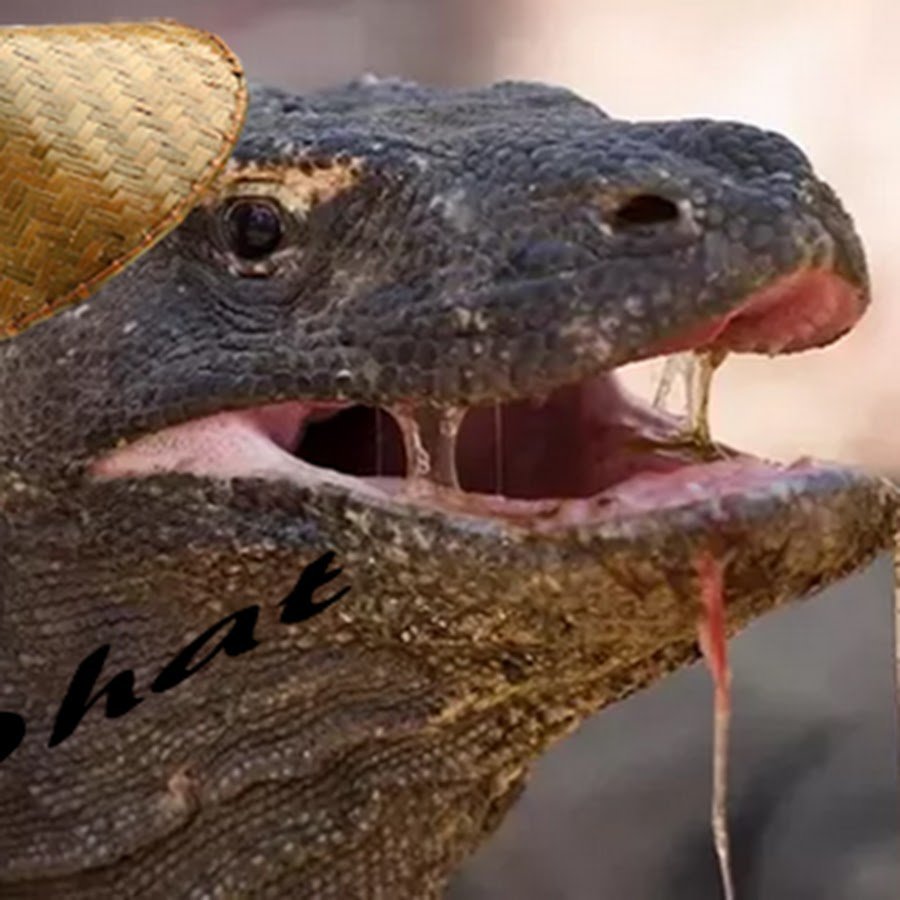 Комодский Варан зубы