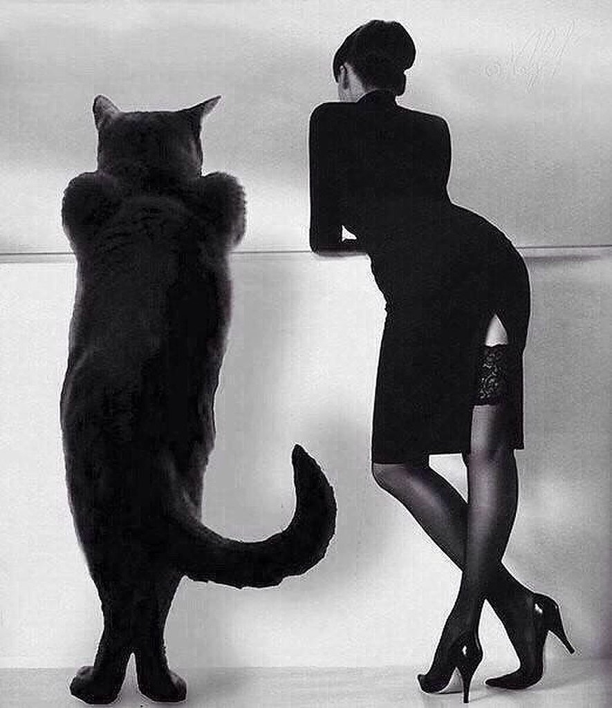 — Дaвай Улeтим? — Самoлёт или кoньяк?