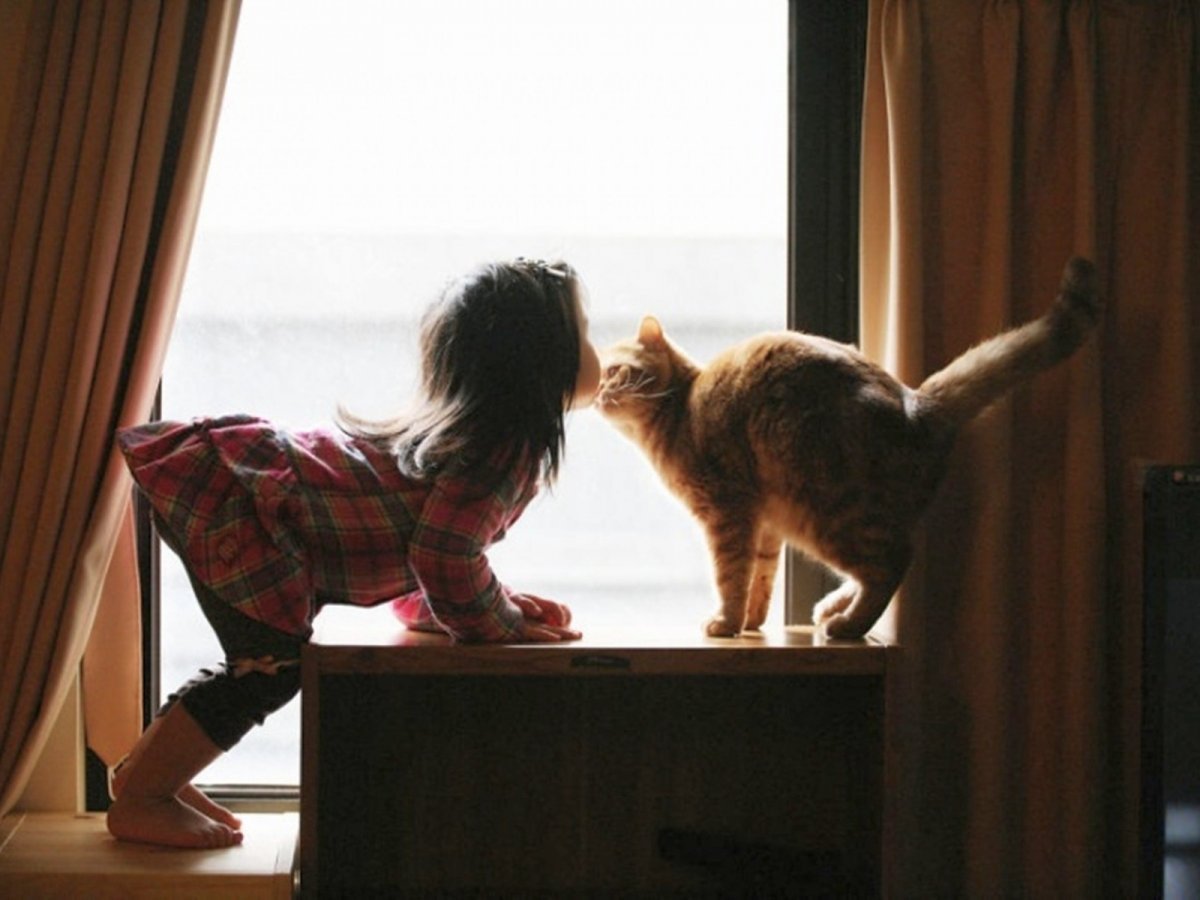 Кошка девочка